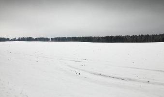 dopo la nevicata, feld foto