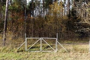 recinzioni metalliche vicino alla foresta, che proteggono gli animali dalla carreggiata foto
