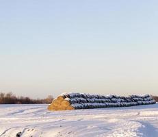 stagione invernale. foto