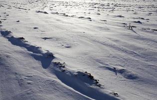 cumuli di neve in inverno foto