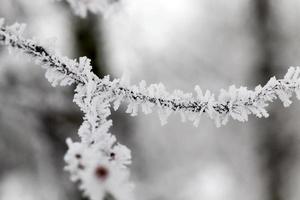 stagione invernale. foto