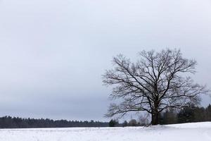 paesaggio invernale nuvoloso foto