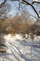 uno stretto fiume nella foresta in inverno foto