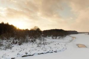 alberi coperti di neve e ghiaccio foto