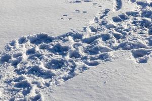 cumuli di neve dopo la nevicata in inverno foto