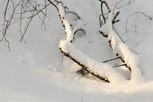 cumuli di neve nella stagione invernale foto