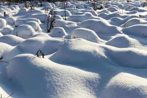 collinette nella palude grandi derive dopo le nevicate foto