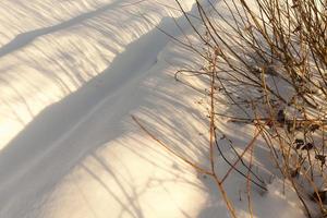 erba in grandi cumuli dopo nevicate e bufere di neve, l'inverno foto