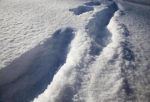 la stagione invernale in natura foto