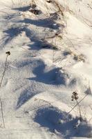 profondi cumuli di neve soffice nella stagione invernale foto