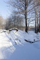 uno stretto fiume nella foresta in inverno foto