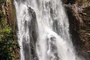 una cascata naturale in una grande foresta in mezzo a una natura meravigliosa. foto