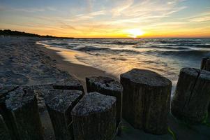 pennelli che si protendono nel mare. preso in zingst sui darss. foto