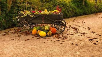 l'autunno è il tempo del raccolto per la zucca e altre verdure. carrello in legno decorato foto
