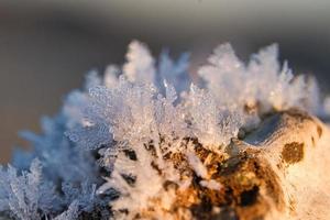 cristalli di ghiaccio che si sono formati su un tronco d'albero e sono cresciuti in altezza. foto