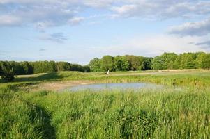 cicogna che sorvola un prato e uno stagno. grande uccello che viene in germania in primavera foto