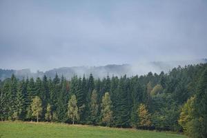 nebbia che si muove sulla foresta. atmosfera autunnale nel saarland. foto