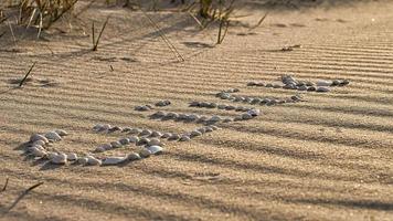 con conchiglie deposte felicità simbolo sulla spiaggia del mar baltico nella sabbia foto