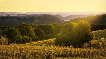 tramonto nel saarland su un prato con alberi e vista sulla valle. calda atmosfera foto