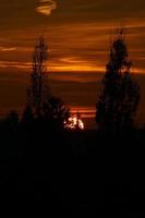 sole che tramonta alla periferia di berlino. il cielo sembra bruciare foto