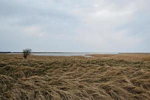 pramort di avvistamento degli uccelli sui darss. ampio paesaggio con vista sul bodden e sul mar baltico foto