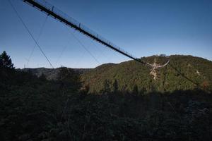 vista del paesaggio dal ponte sospeso di Geierlay foto