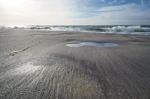 spiaggia occidentale sulla spiaggia del Mar Baltico. natura morta dettagliata e strutturata. foto