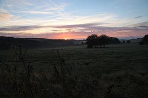 sole che sorge sul prato nebbioso al mattino nel saarland. il cielo sembra bruciare foto