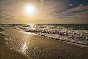 spiaggia occidentale sulla spiaggia del Mar Baltico. natura morta dettagliata e strutturata. foto