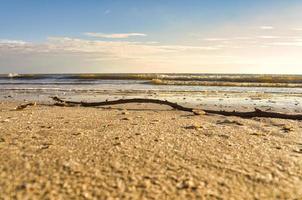 sulla spiaggia di blavand danimarca con vista mare foto