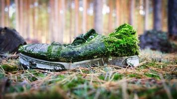 scarpa in decomposizione nella foresta ricoperta di muschio e dimenticata foto