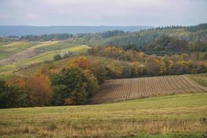 nelle foreste del saarland, nei prati e negli alberi solitari nell'aspetto autunnale. foto