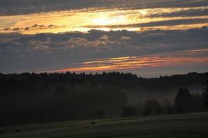 sole che sorge sul prato nebbioso al mattino nel saarland. il cielo sembra bruciare foto