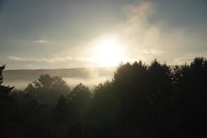 alba con nebbia nelle prime ore del mattino. atmosfera mistica foto