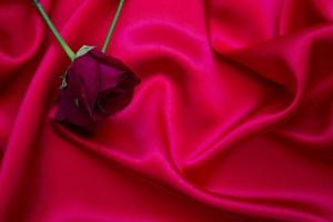 rose rosse su un panno rosso foto