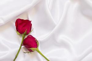 rosa rossa su tela bianca foto