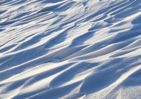 cumuli di neve, il campo in inverno foto