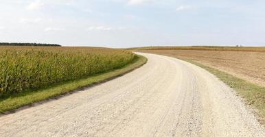 strada sabbiosa rurale foto