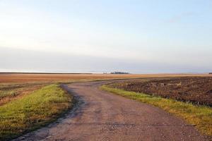 strada di campagna nel campo foto