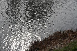 uno specchio d'acqua foto