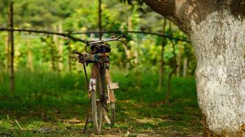 pedalare in piedi nella fattoria foto