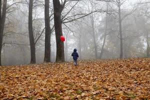 passeggiata parco bambino riposo autunno foto