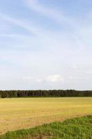 paesaggio e cielo primaverili foto