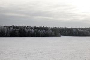 orario invernale, campo e foresta foto