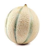 melone cantalupo su sfondo bianco foto