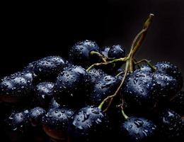 un grappolo d'uva succosa matura con gocce d'acqua su uno sfondo scuro. foto