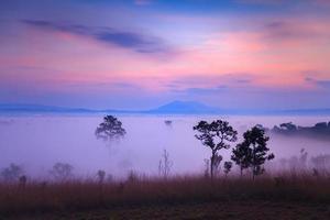 alba nebbiosa mattutina al parco nazionale di thung salang luang phetchabun, tailandia foto