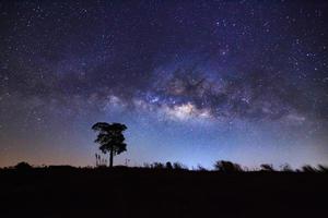 sagoma di albero e bella via lattea su un cielo notturno. fotografia a lunga esposizione. foto
