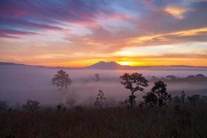 alba nebbiosa mattutina al parco nazionale di thung salang luang phetchabun, tailandia foto
