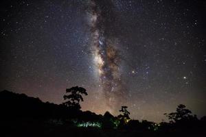 sagoma di albero e bella via lattea su un cielo notturno. fotografia a lunga esposizione.con guadagno foto